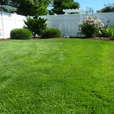 LAWN MAINTENANCE